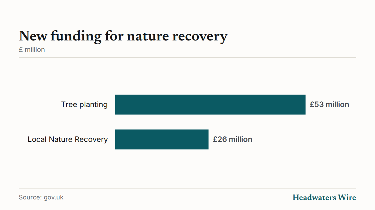 Britain's Environment Secretary on Wednesday announced £79 million of new government funding for communities across England to restore nature and adapt to the impacts of climate change, including £53 million for urban and rural tree planting.